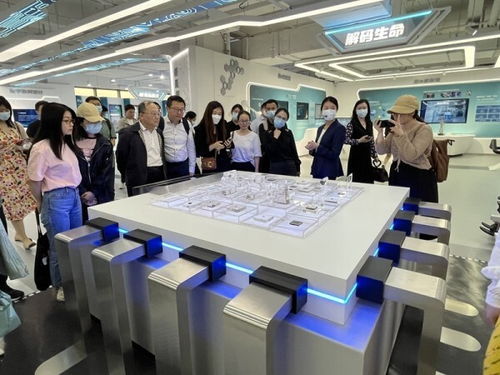 數字化成就點亮創(chuàng)新之路 上海市網絡文化協(xié)會參觀上海城市數字化轉型體驗館